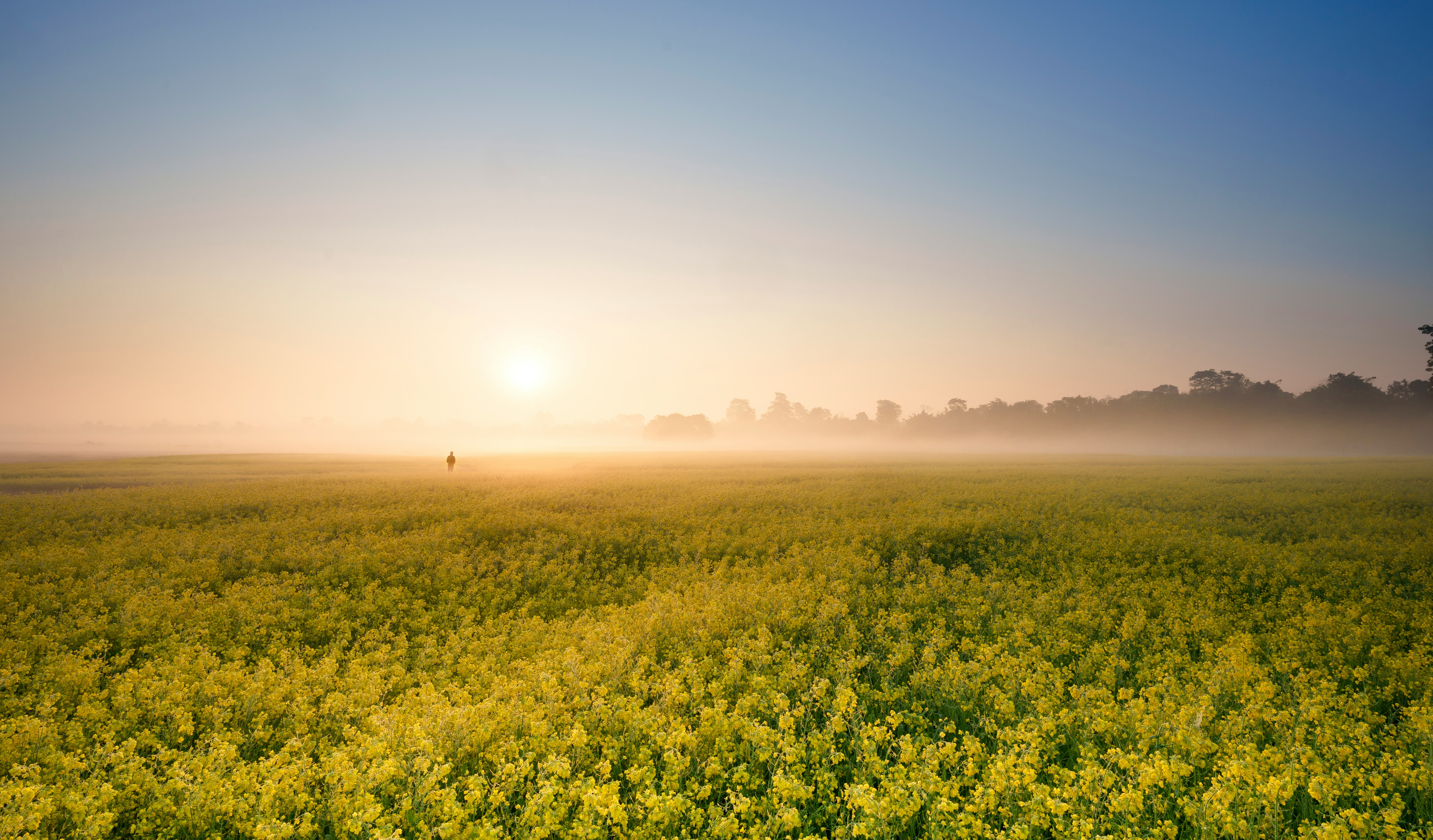 Assam Heritage, Wildlife & River Island Sojourn